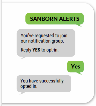 text alert example